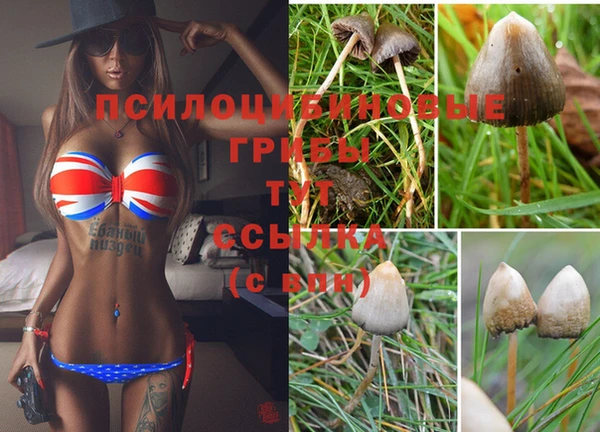 спайс Артём