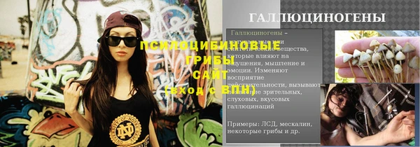PSILOCYBIN Дмитровск
