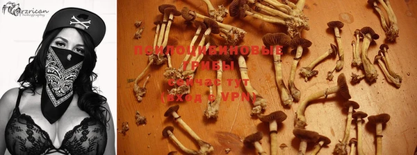 спайс Артём